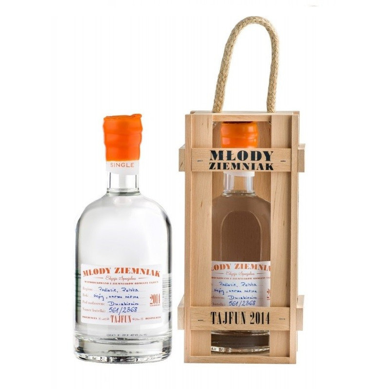 Młody Ziemniak Tajfun 2014