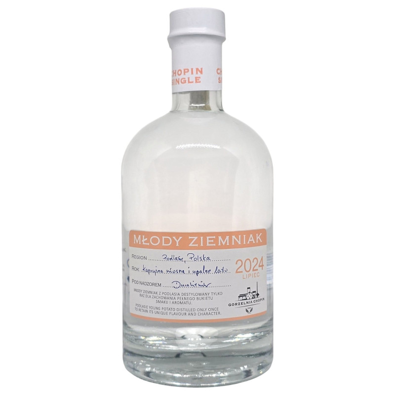 Młody Ziemniak 2024